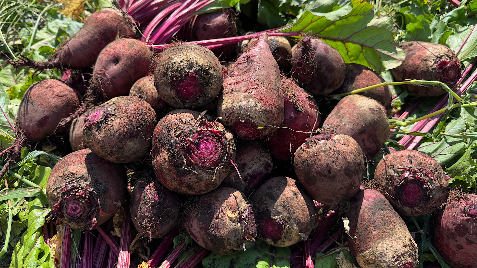 美食工房 シミュレーター