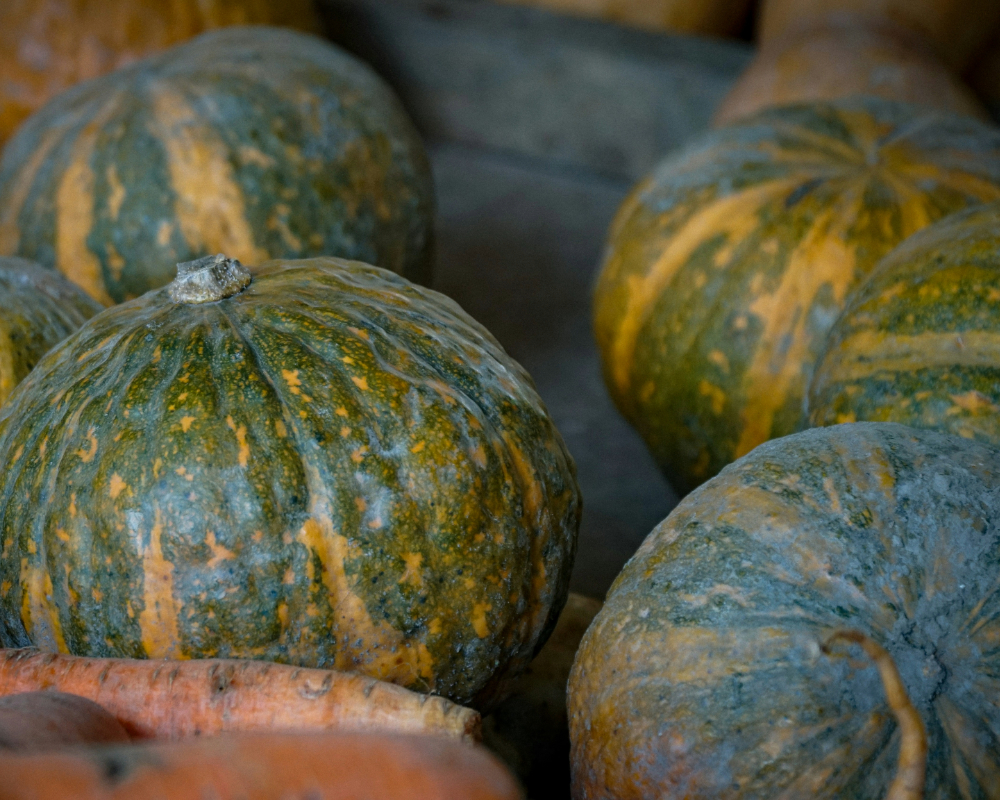 不揃いの瑞々しいカボチャ